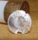 shotshell overcard